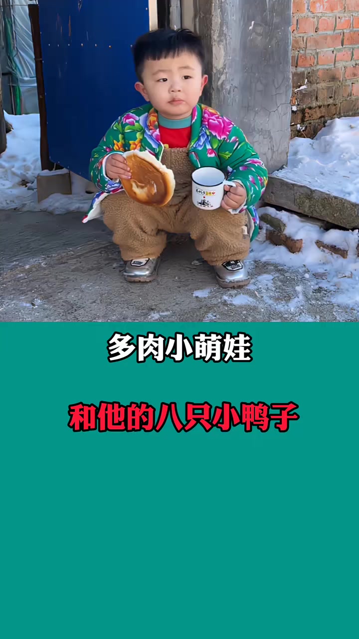 多肉小萌娃,靠八只鸭子走红网络