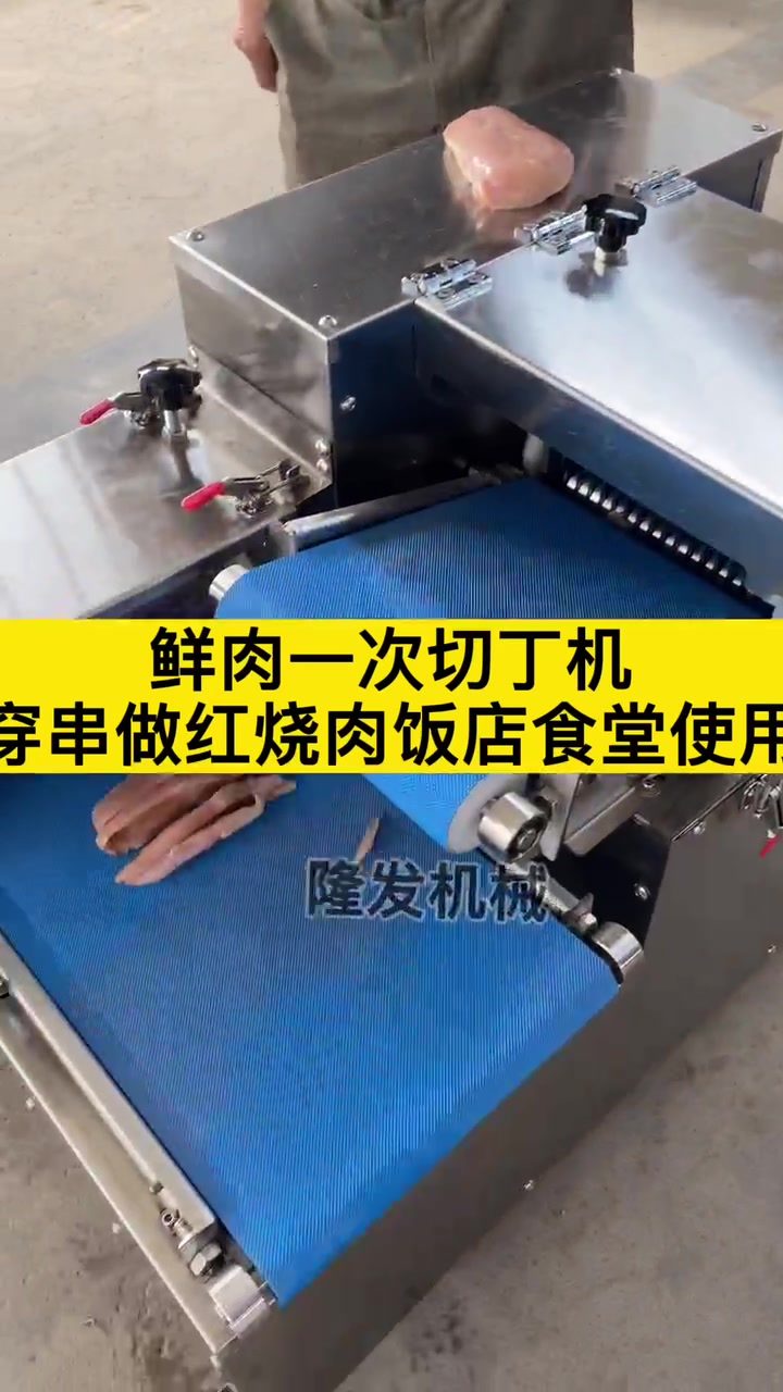 鲜肉一次切丁机切肉块机