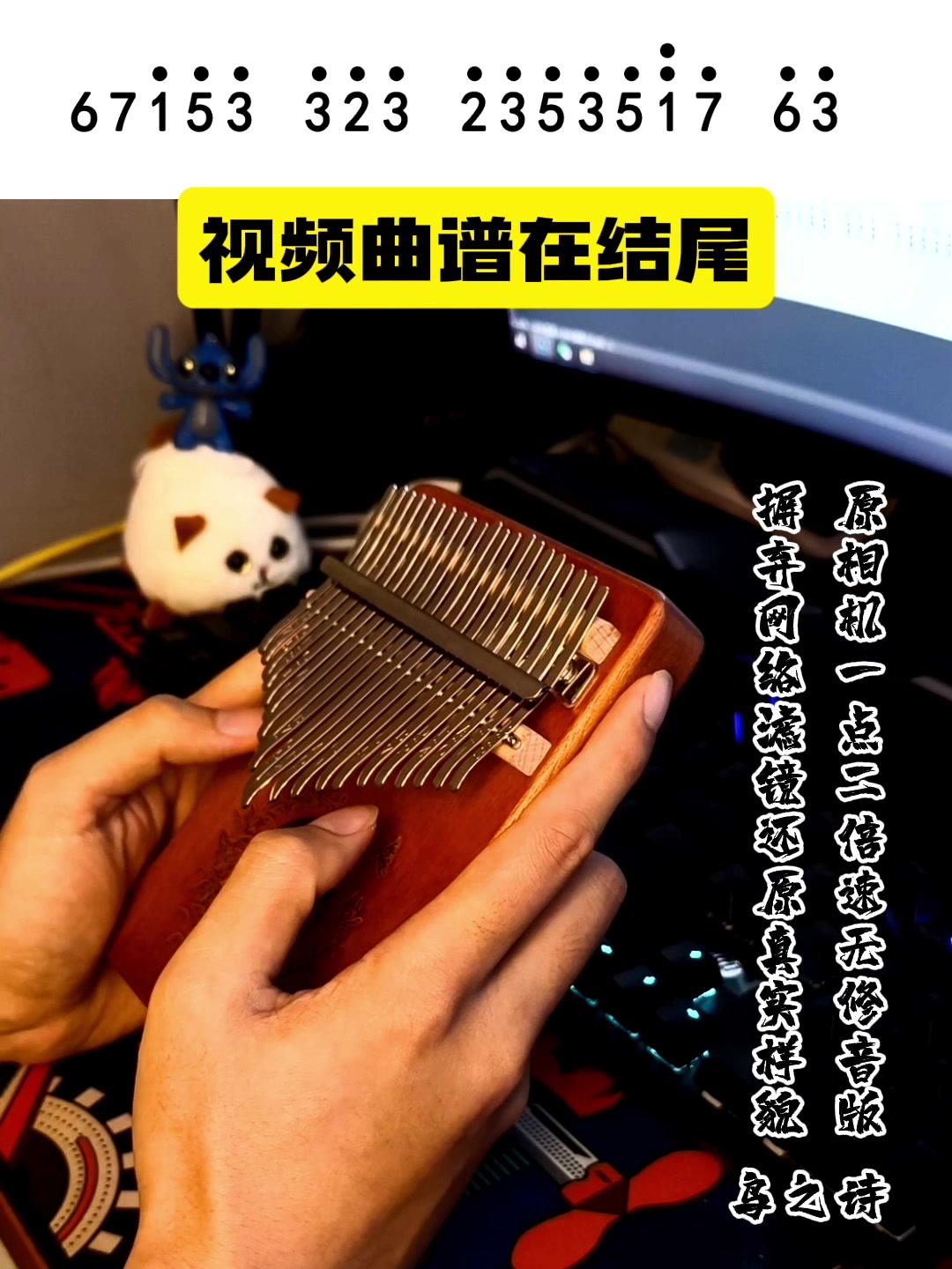《鸟之诗》拇指琴弹奏