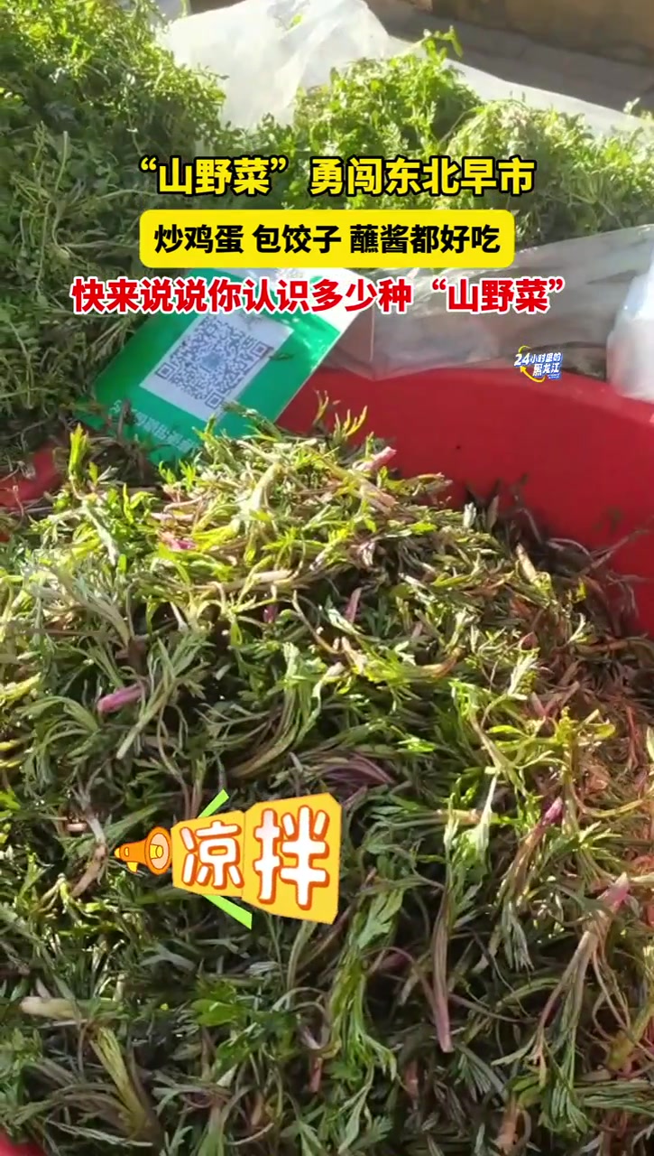 4月27日哈尔滨,“山野菜”勇闯东北早市,炒鸡蛋、包饺子、蘸酱、都好吃,快来说说你认识多少