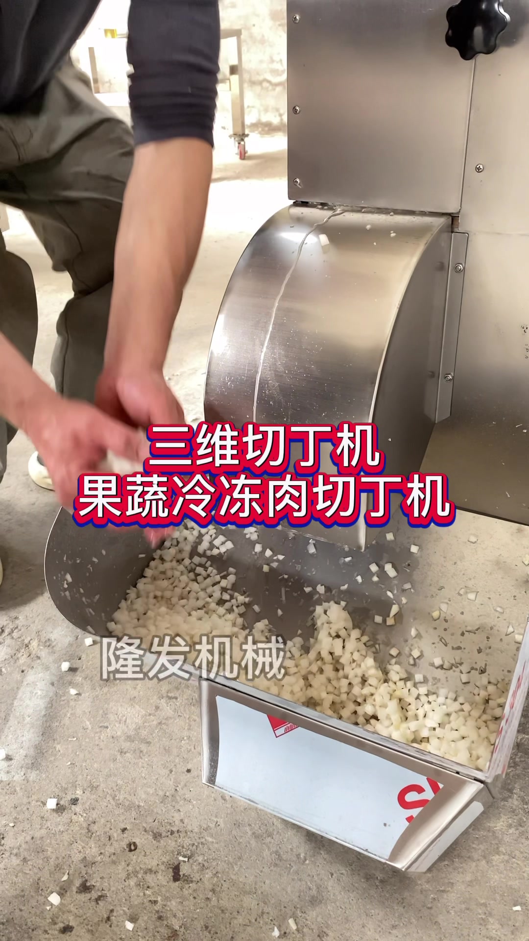 三维切丁机冻肉切丁机