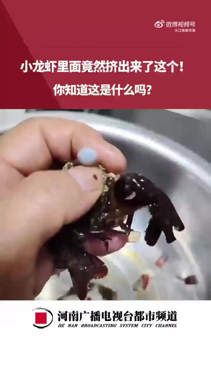 近日,福建。女子洗刷小龙虾时,竟然从虾头里剥出多颗珠子样的东西,非常光滑,看起来有点像陶瓷