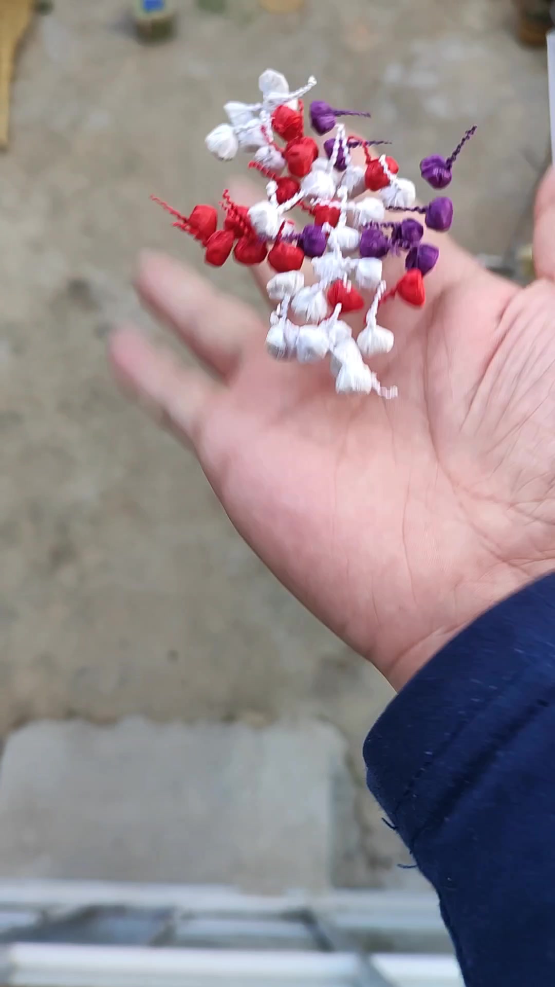 四十个小金鱼真的没有一百个好玩