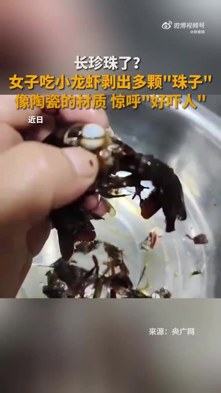 近日,福建。女子洗刷小龙虾时,竟然从虾头里剥出多颗珠子样的东西,非常光滑,看起来有点像陶瓷