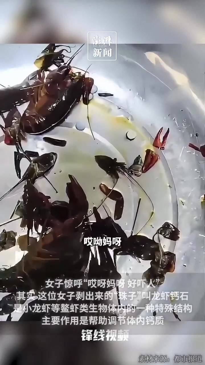 女子吃小龙虾剥出多颗“珠子”,原来是龙虾钙石