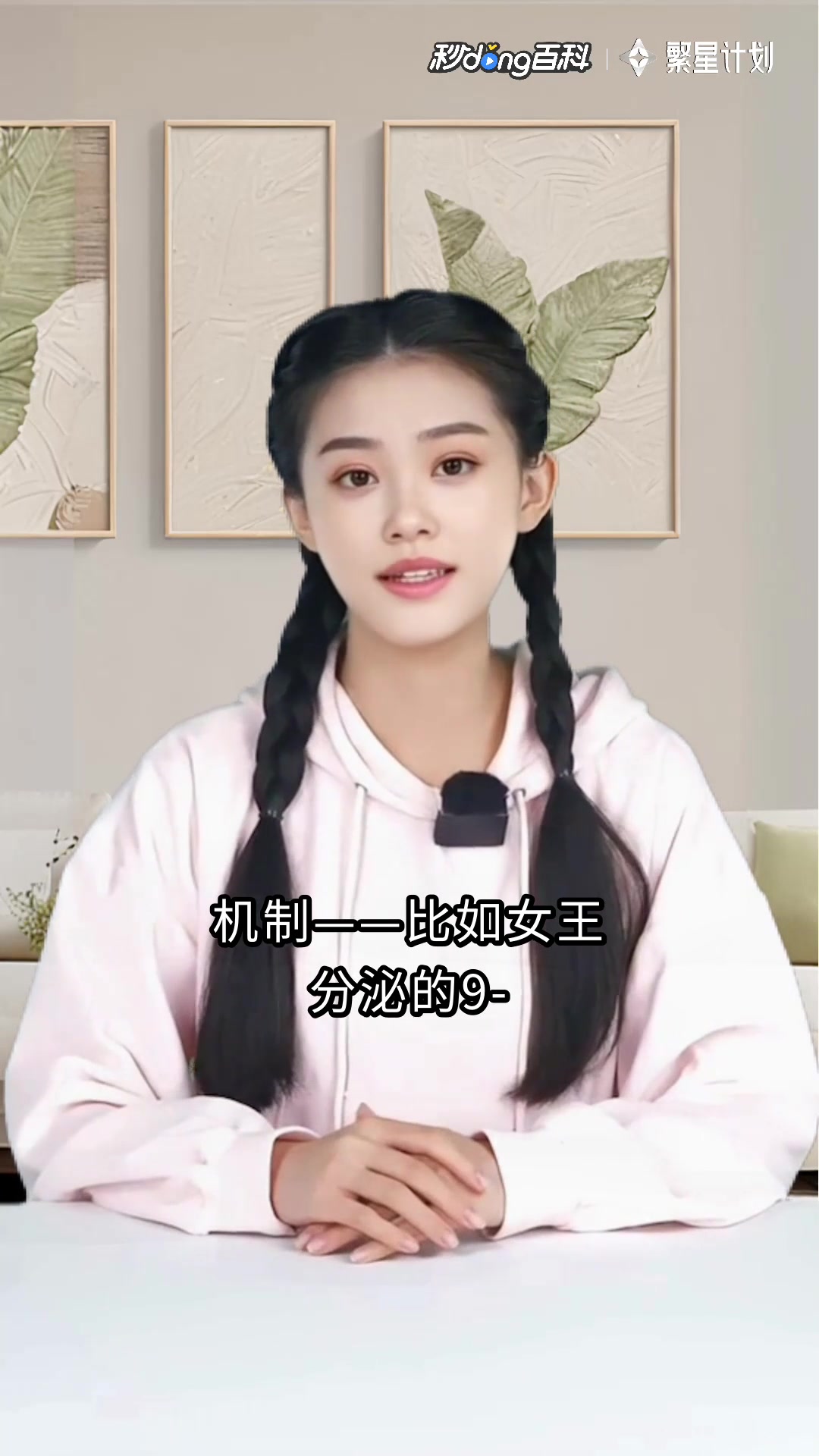 女王蜂:蜂巢深处的权力游戏