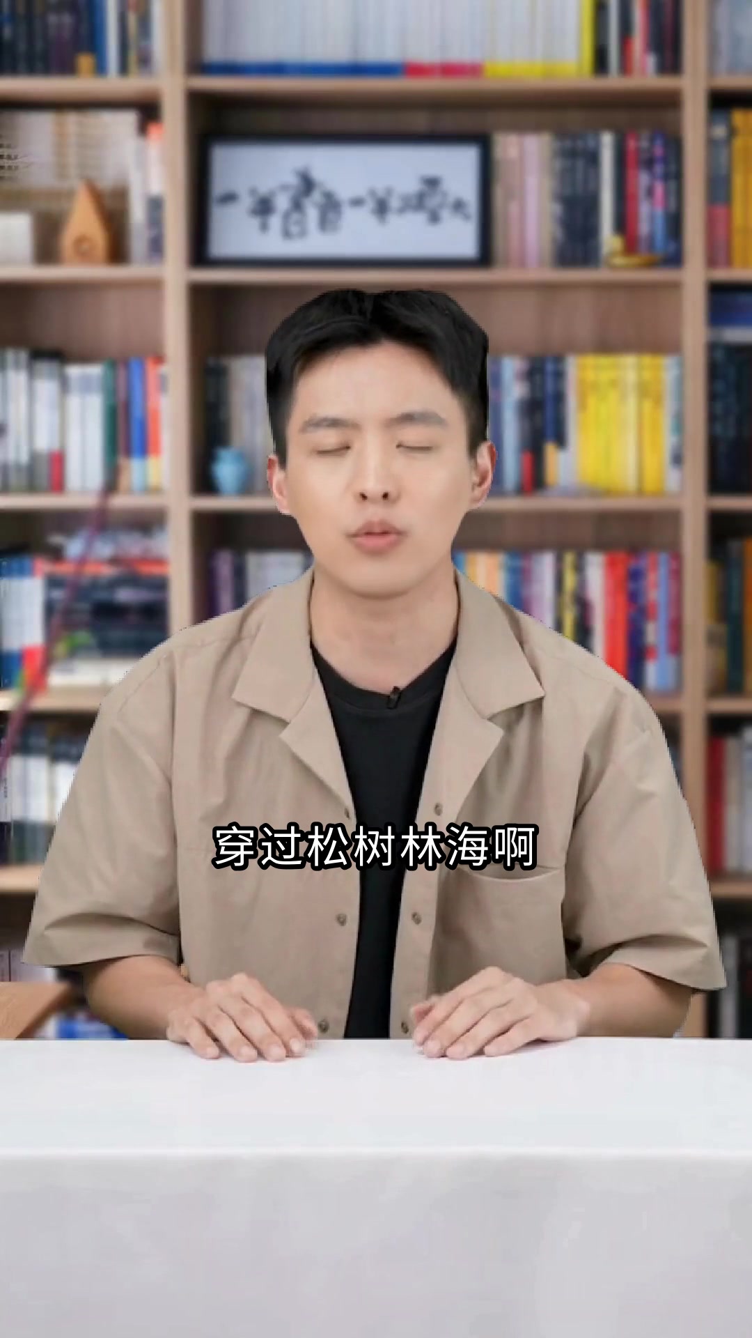 骑鹅旅行记经典摘抄与奇幻冒险