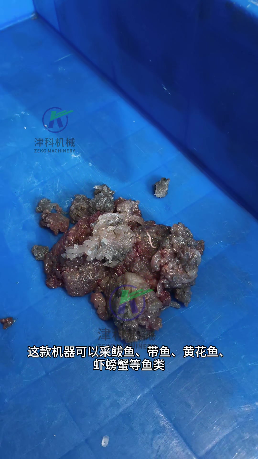 鱼肉采肉机将物体中的鱼肉和鱼骨分离,采集细腻鱼肉,去刺干净