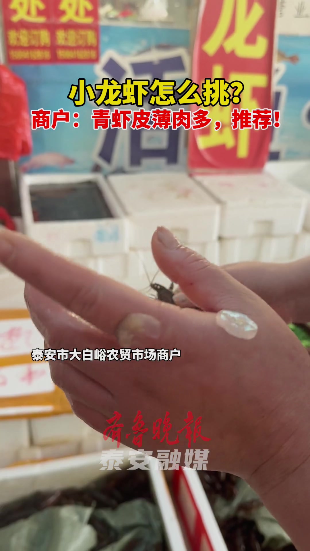 果然视频|小龙虾怎么挑?商户:青虾皮薄肉多,推荐!