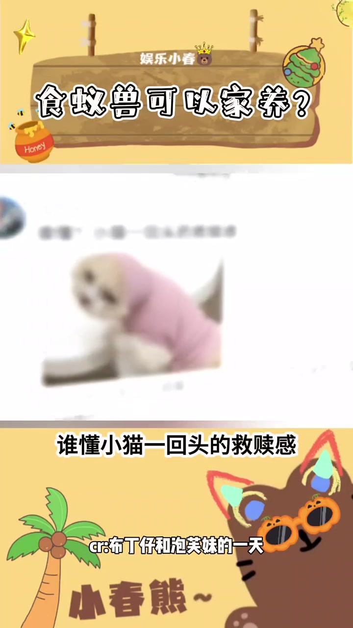 我就说猫和老鼠是写实篇