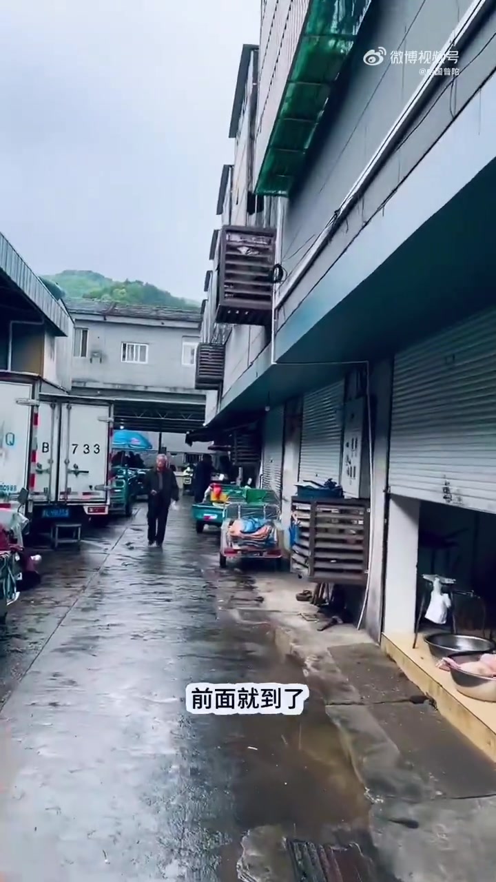 在舟山岁月深处,藏着名叫「烟火」的诗行。穿过东皋岭隧道的光影,循着老街巷弄的呼吸,寻到隐匿