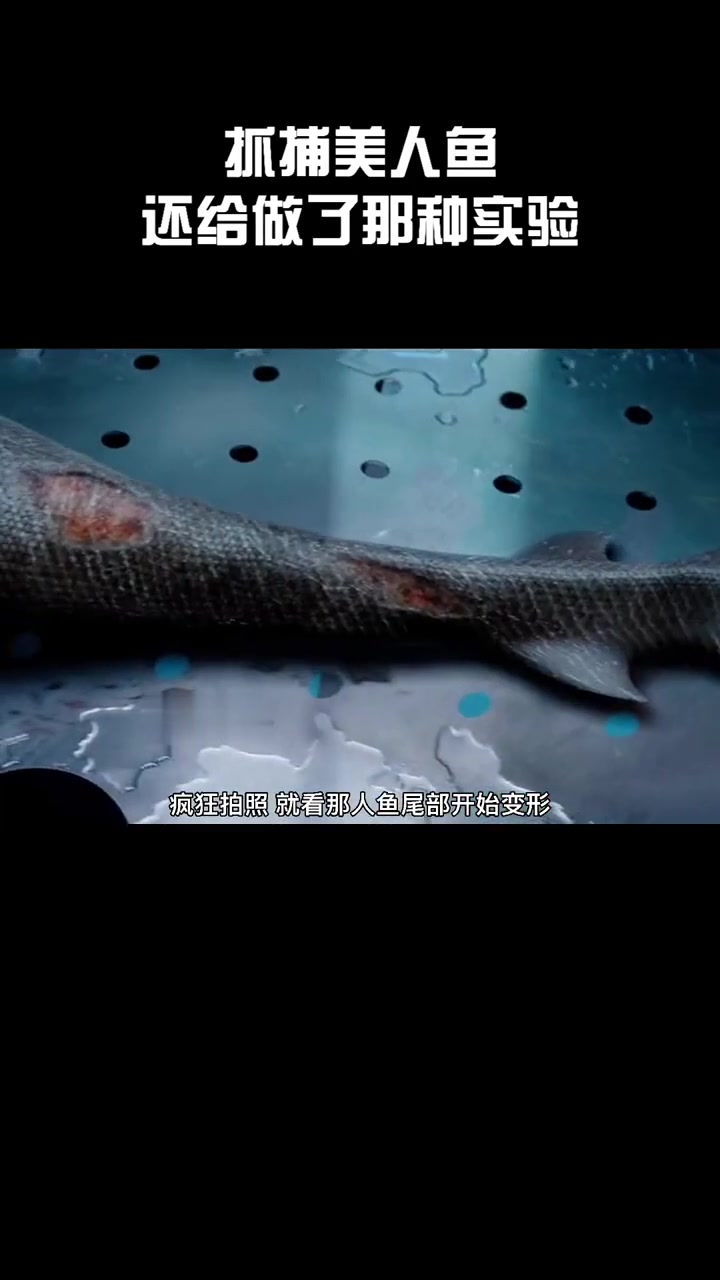 捕获美人鱼!还给做了那种实验