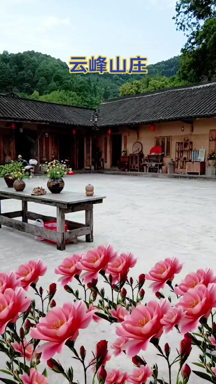 云峰山庄柴火鸡味道好,吃柴火鸡就到这!