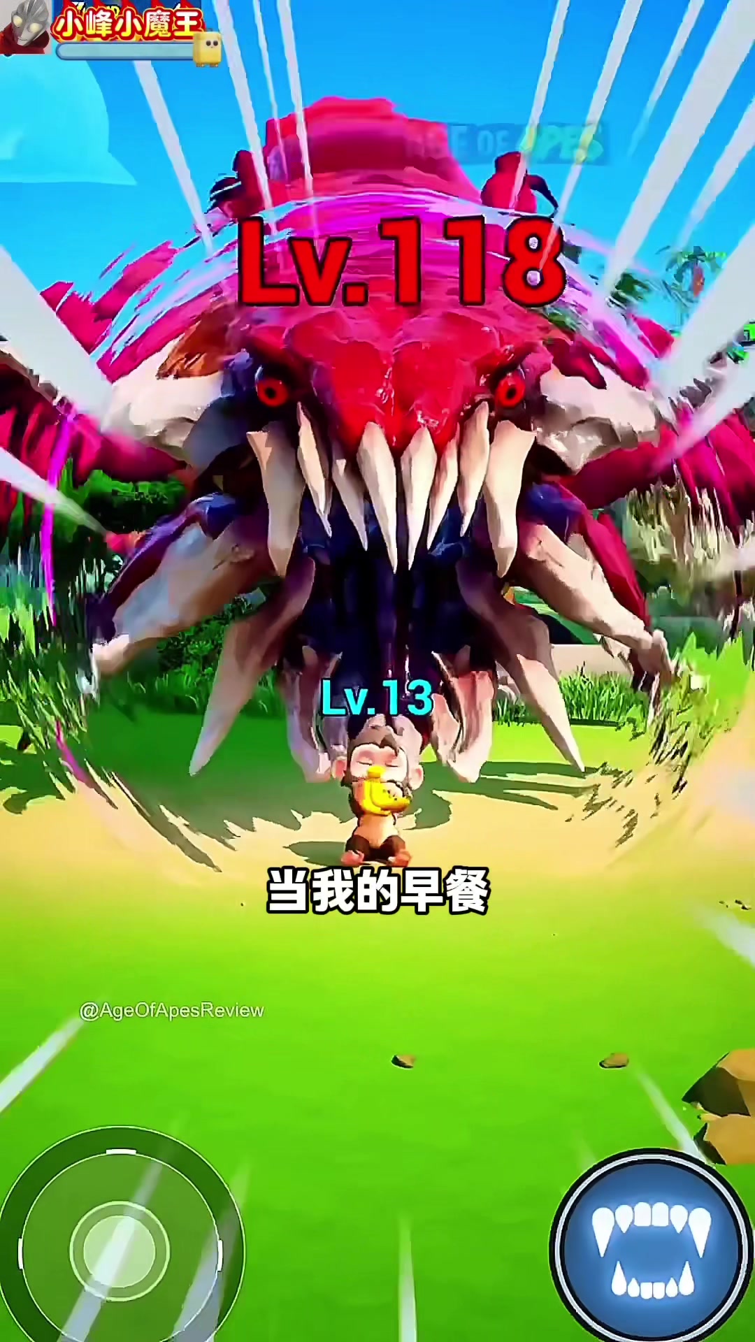 虫族补猴,鳄鱼在后