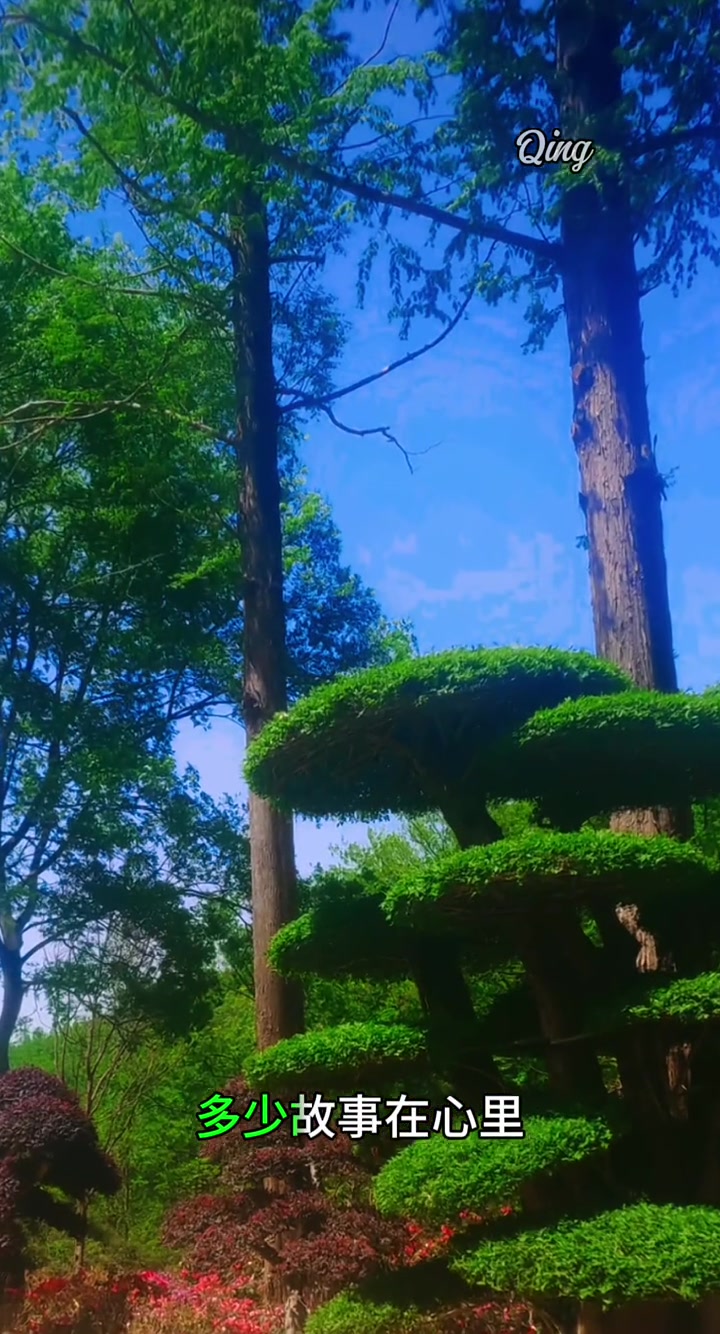 一汽大众idaura全球首发
