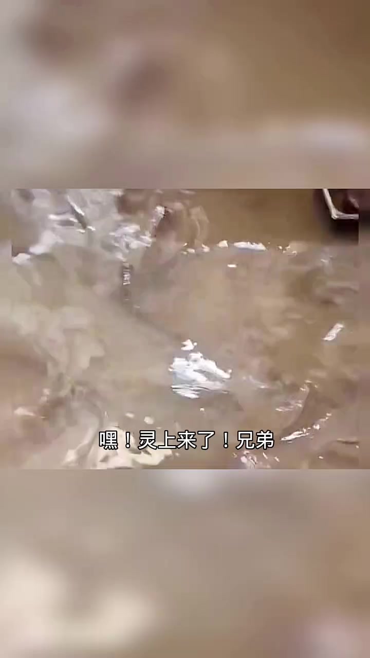 第433集|吃鱼了!