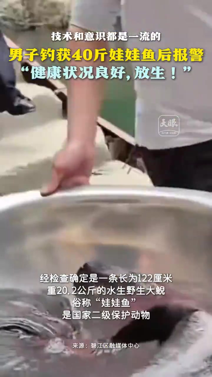 4月28日晚,贵州铜仁碧江区公安分局河西派出所接到市民张先生报警,称在木杉河水域垂钓时,意