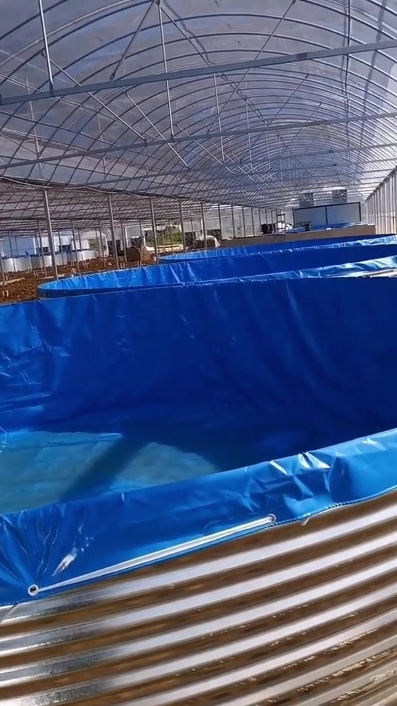 蔬菜大棚改造成帆布鱼池养鱼