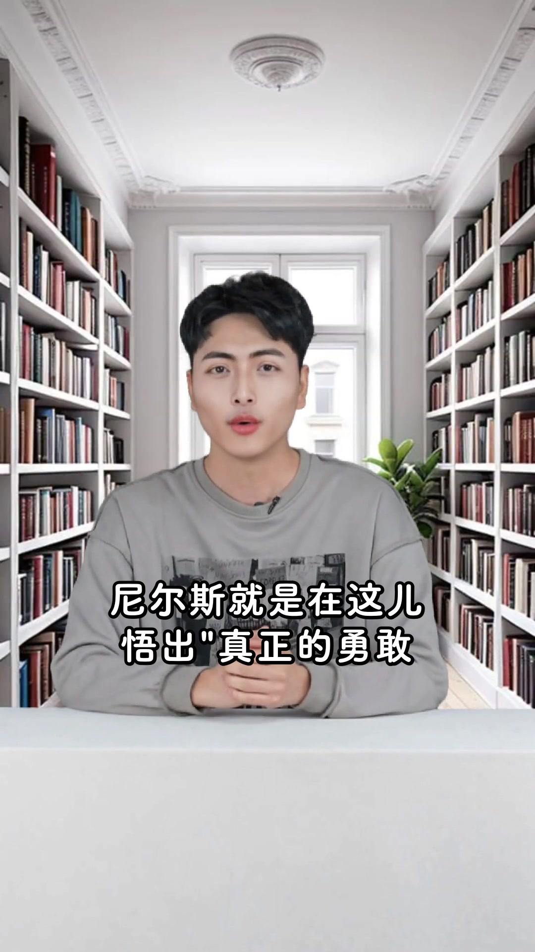 尼尔斯骑鹅旅行记路线图与奇幻事件