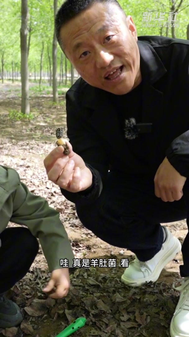 挖野菜去,享受东北春天的“绿色疗愈”