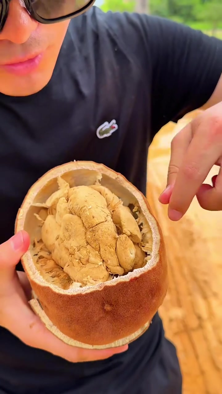 小嘉来到马达加斯加,赏猴面包树,尝猴面包果