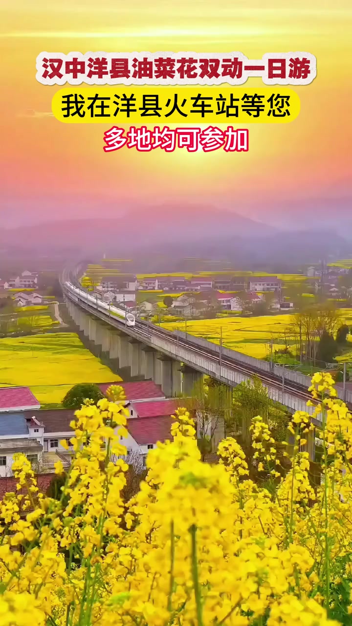 汉中洋县油菜花开,欢迎大家来踏春赏花