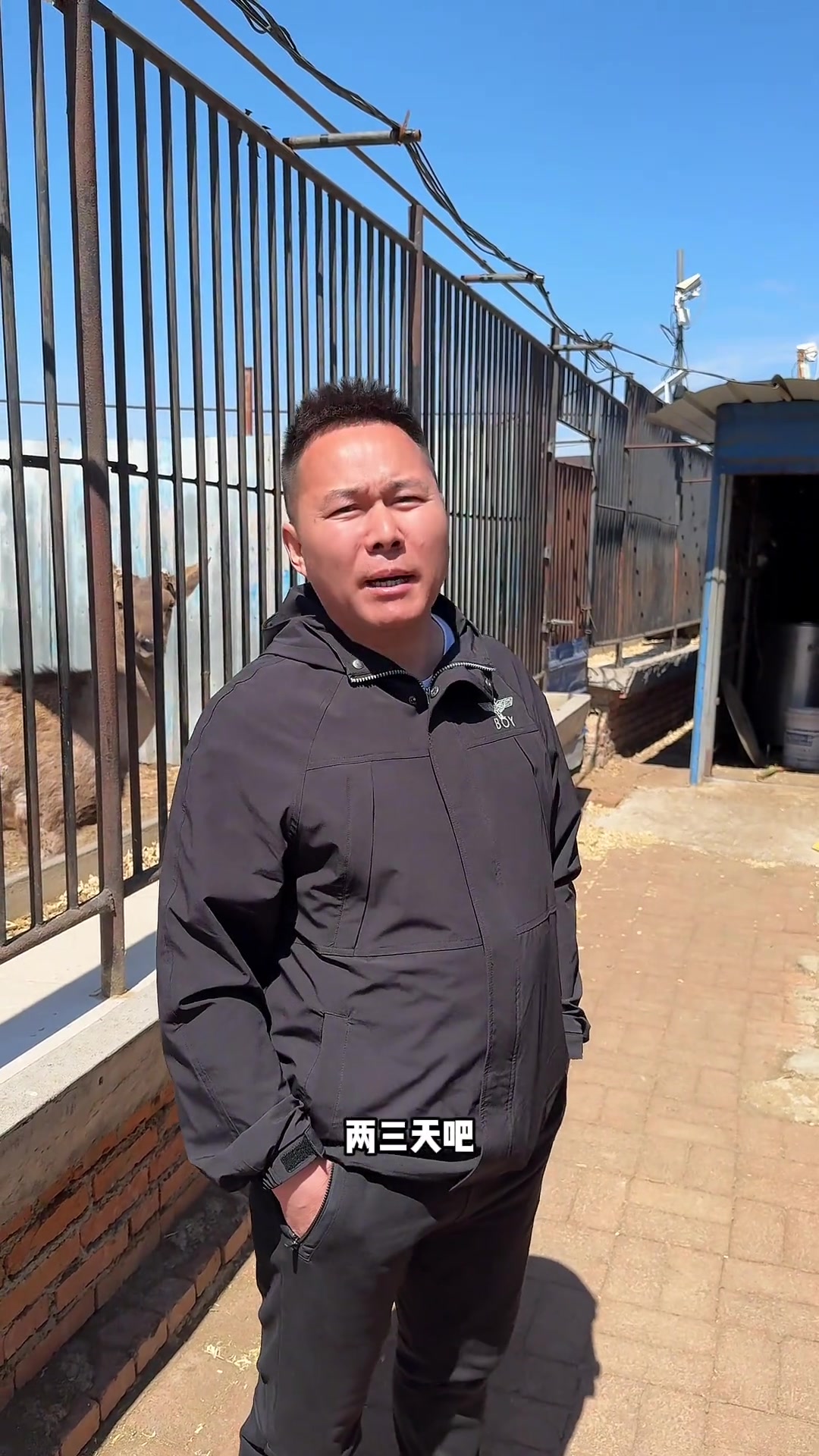 挖野菜的乐趣,乡村新农人的田园生活