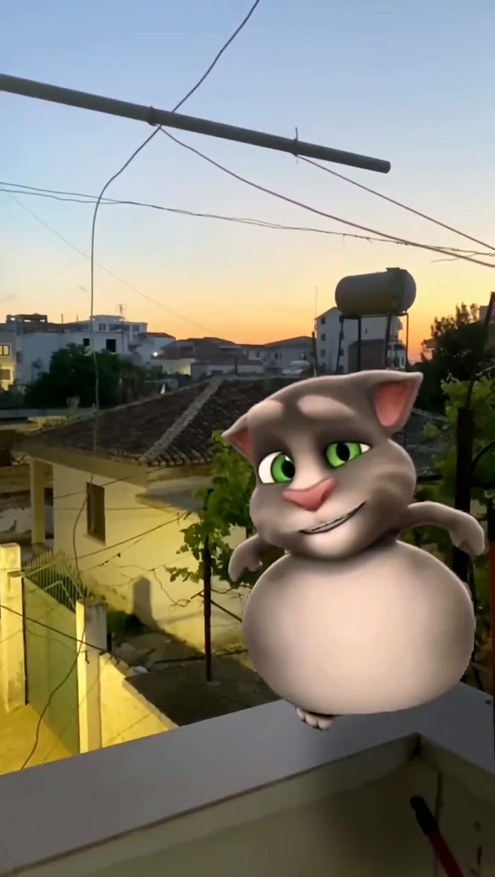 搞笑汤姆猫