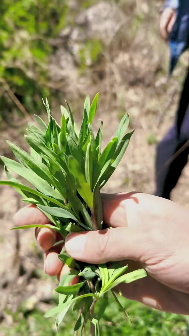 东北辽西大山里的慢生活