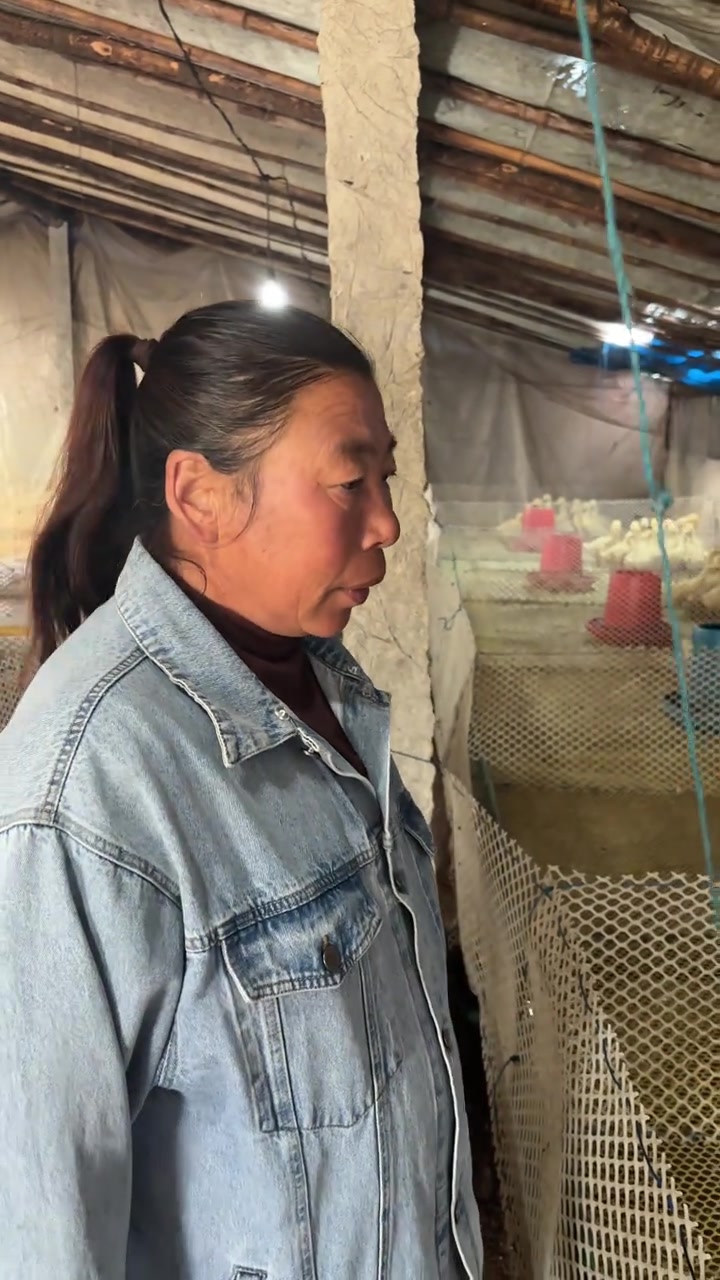 兴奋刺激地抓可爱鹅仔!