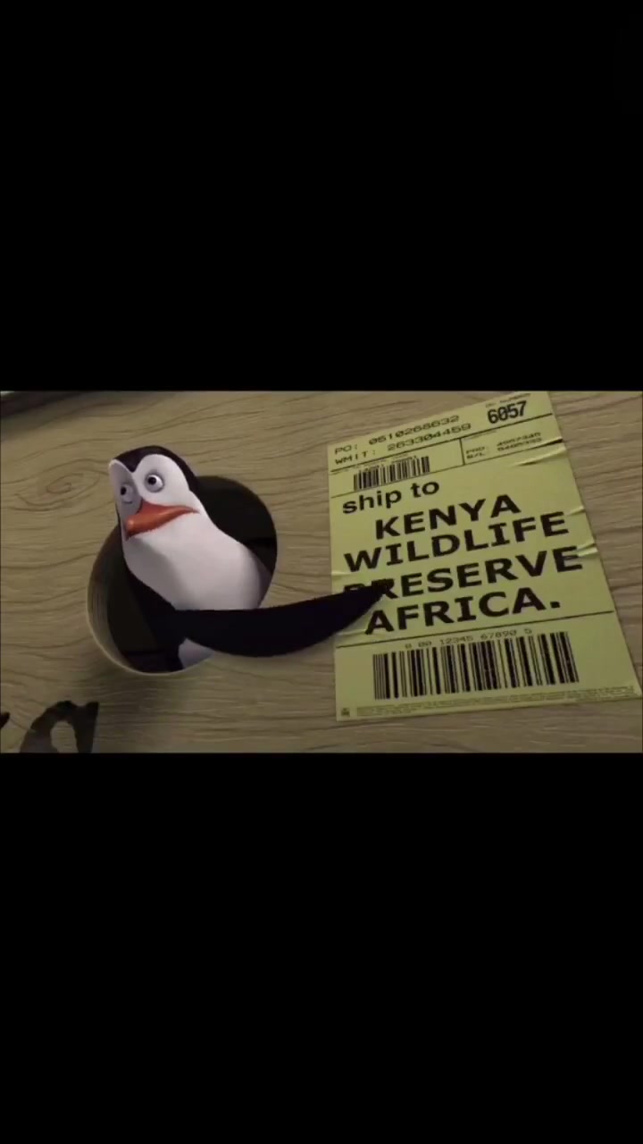 马达加斯加1中四只企鹅的各种神级操作