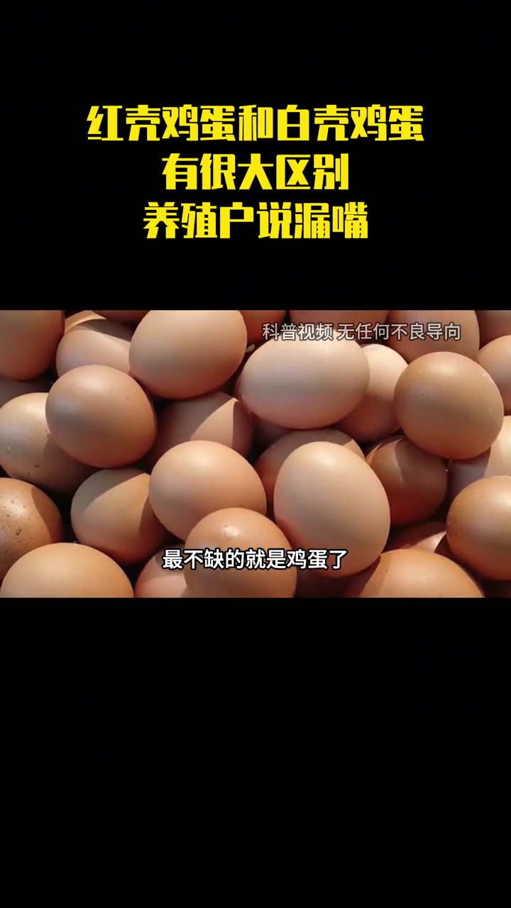 红壳鸡蛋和白壳鸡蛋有很大区别?养殖户说漏嘴,以后别再买错了