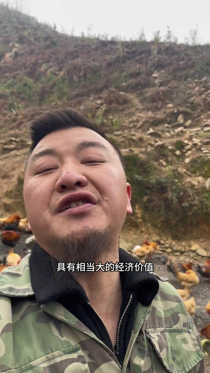 单纯的普及一下何为线鸡