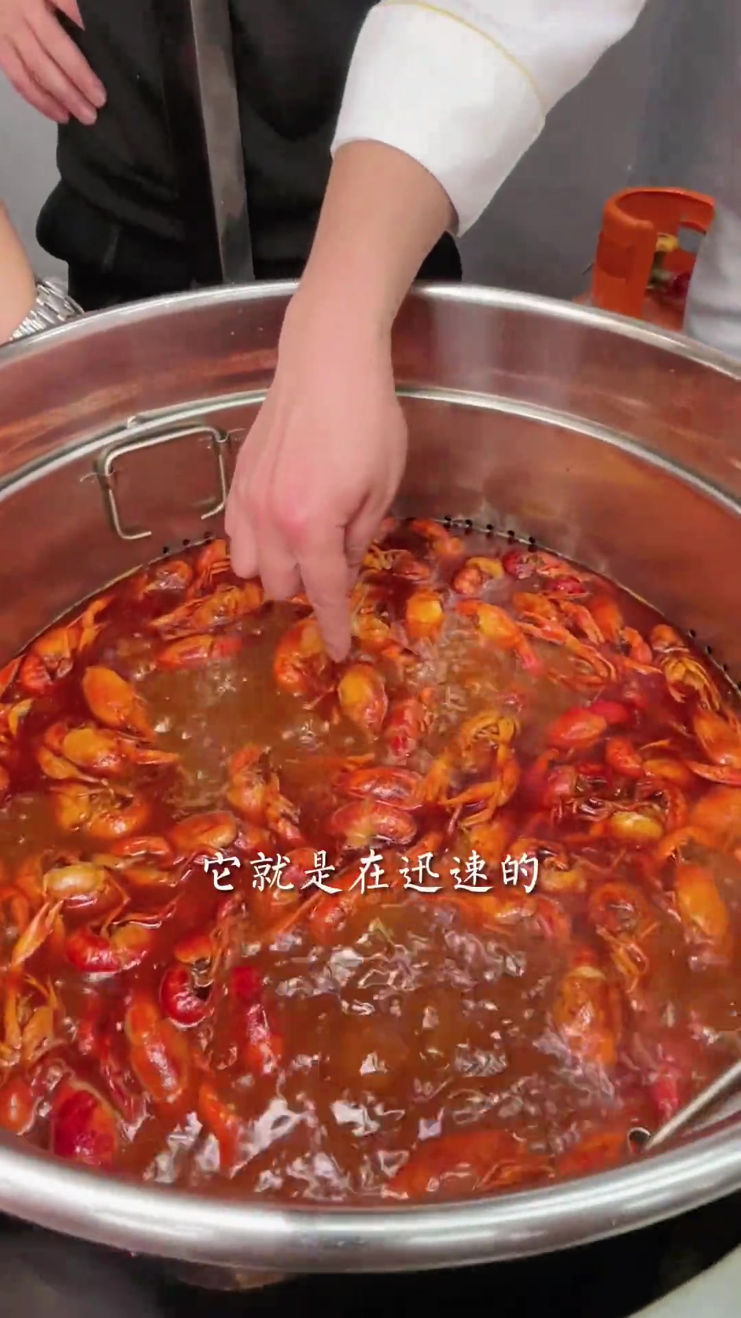 低至2元一斤的卤虾成本,颠覆传统卤煮小龙虾技术