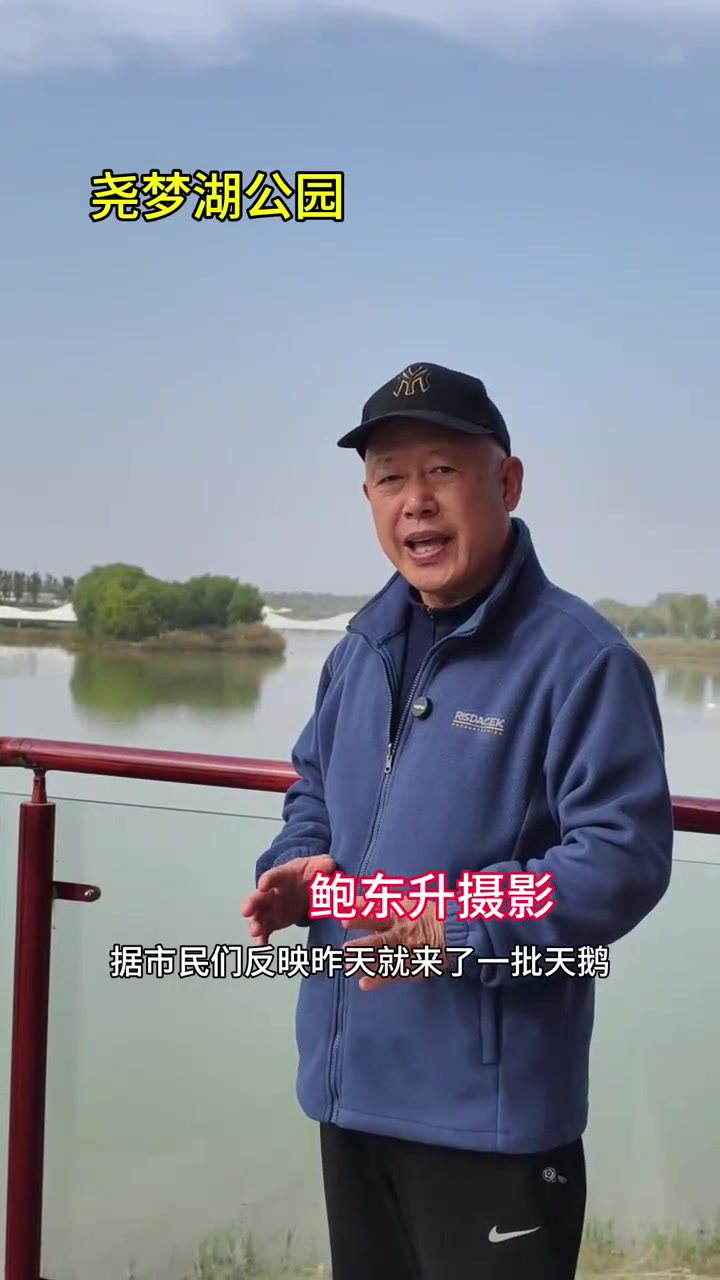 尧梦湖公园26只白天鹅安家落户