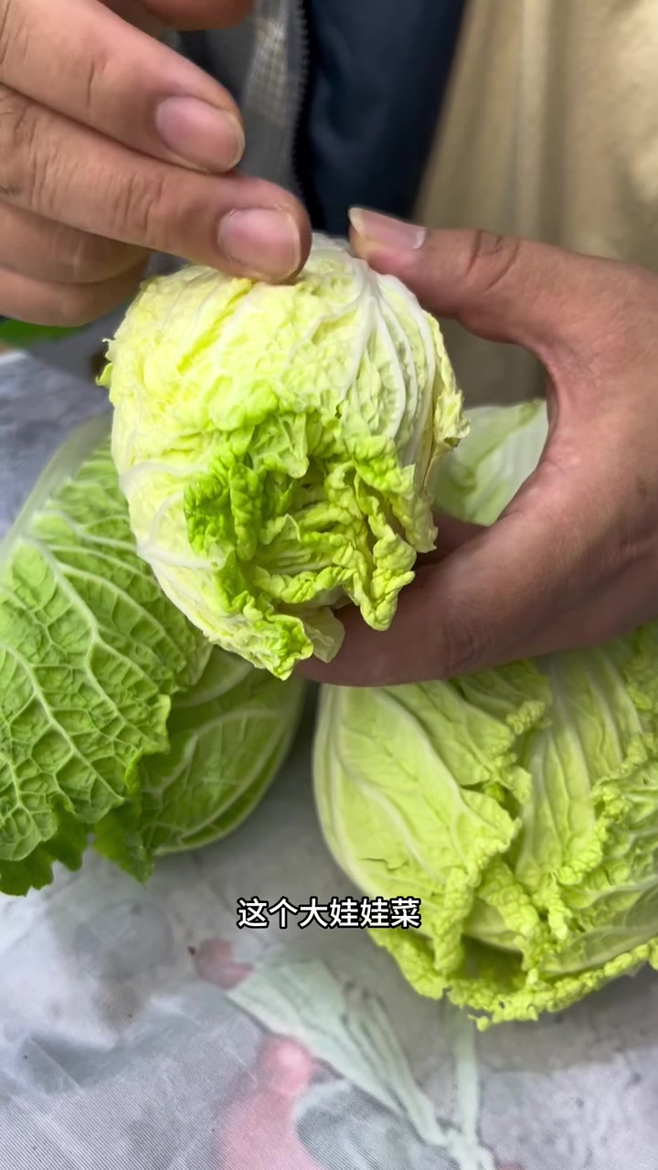 白菜怎么挑?娃娃菜怎么挑?白菜和大娃娃菜的区别?