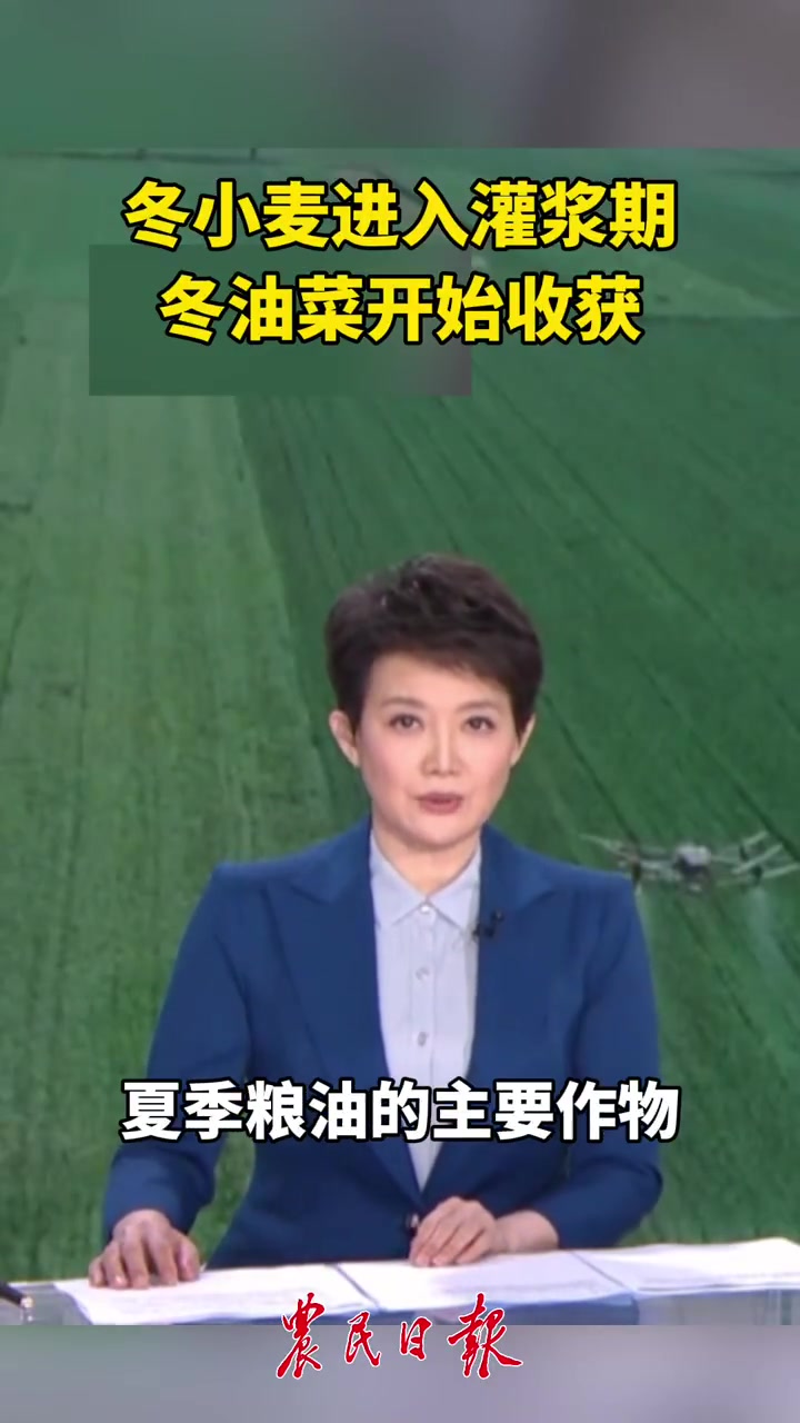 冬小麦进入灌浆期,冬油菜开始收获