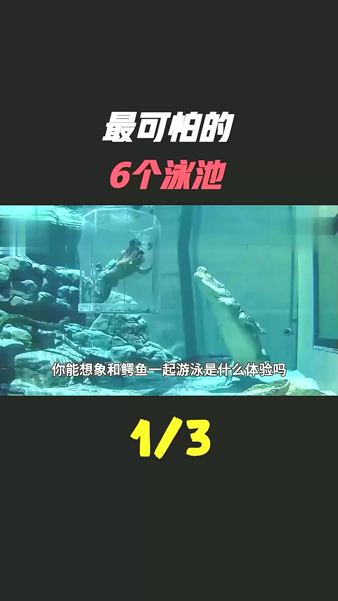 世界6大可怕游泳池,跟水中鳄鱼同行,悬空10米还透明 危险