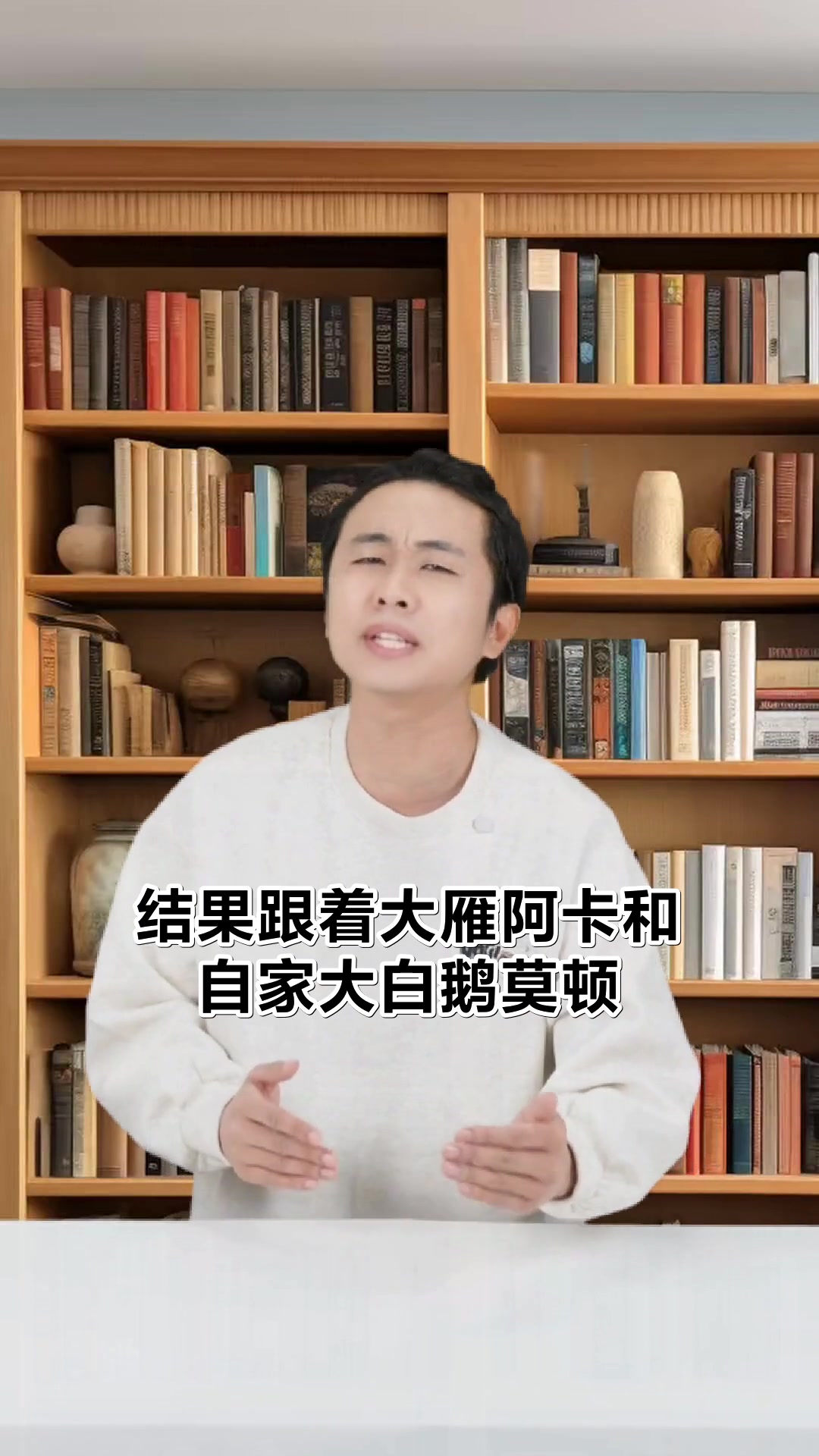 尼尔斯骑鹅旅行十大奇幻地点