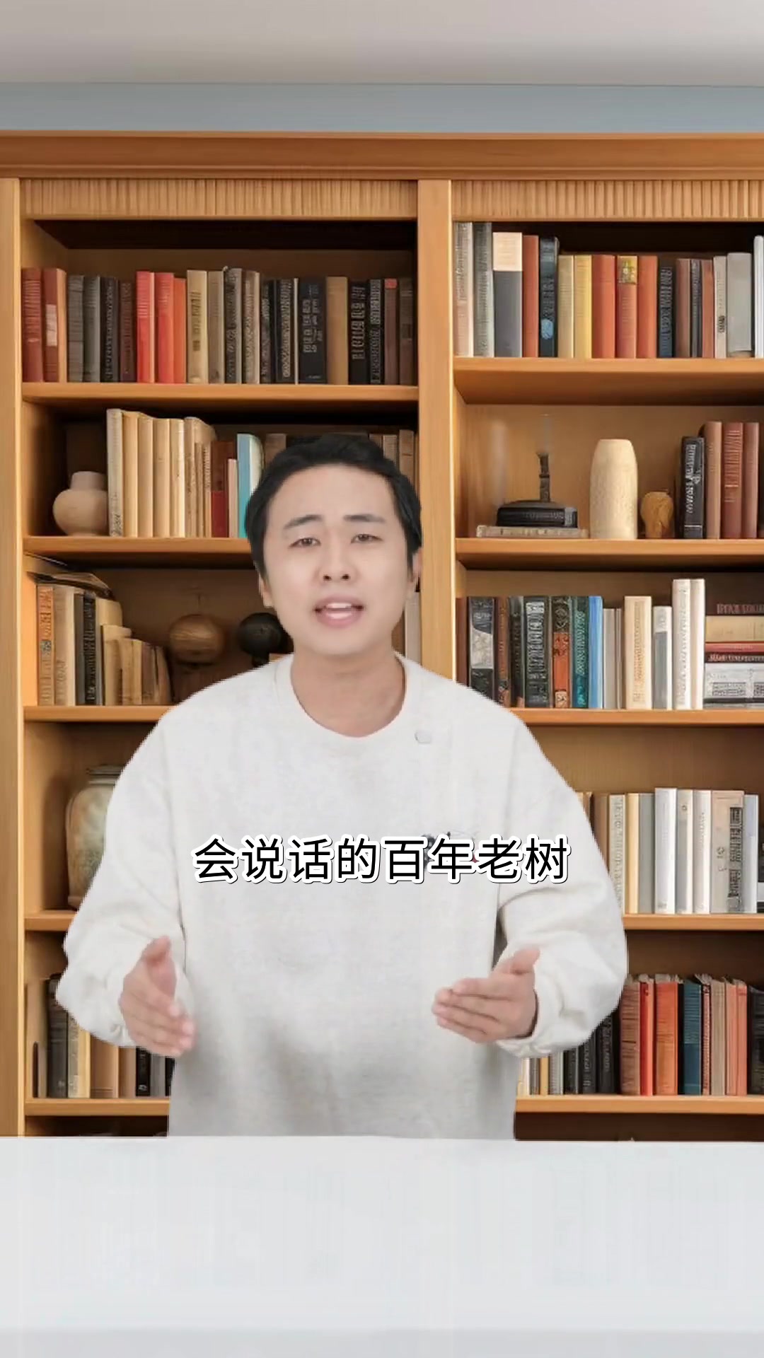 骑鹅旅行记里的奇幻冒险故事