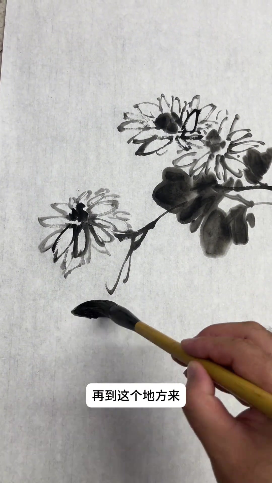 生动好看的菊花绘画技巧,国画写意花鸟教程分享