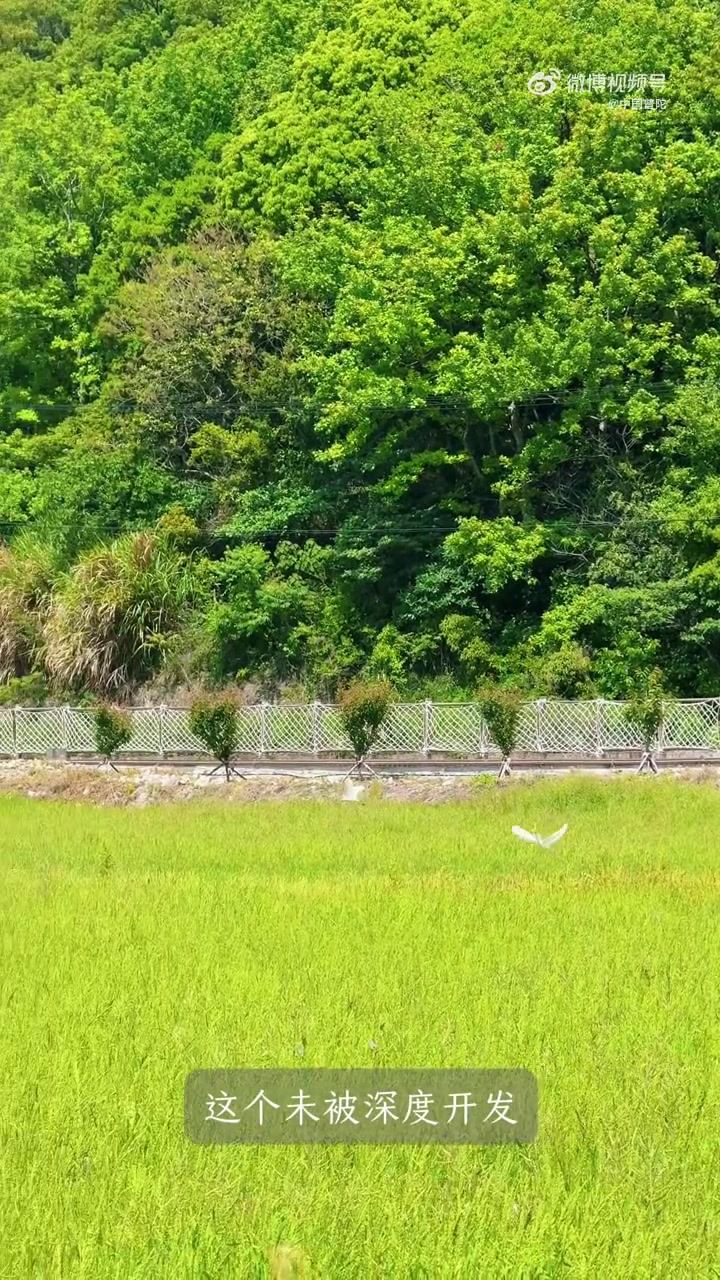 「在登步岛,与山海诗意相逢」晨雾未散时乘船启程,25分钟的航程,像是穿越了一条通往秘境的时