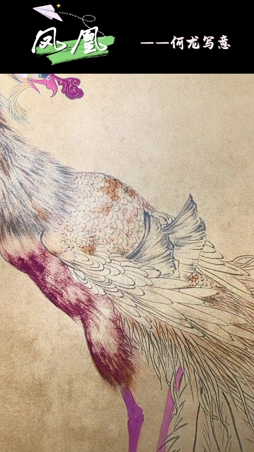 《凤凰展翅,今日绘就,未完待续》