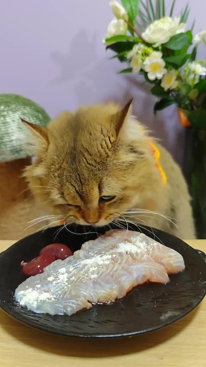 猫猫吃播,年小猫也要吃大鱼大肉~,de,Chile,智利水果