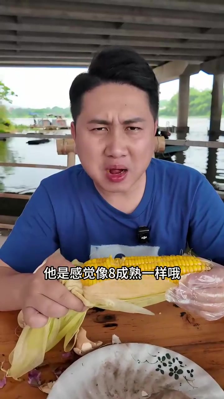 广东阳江老店美食,什么叫鹅乸饭?桥底的天花板泥焗鸡都是跑地鸡