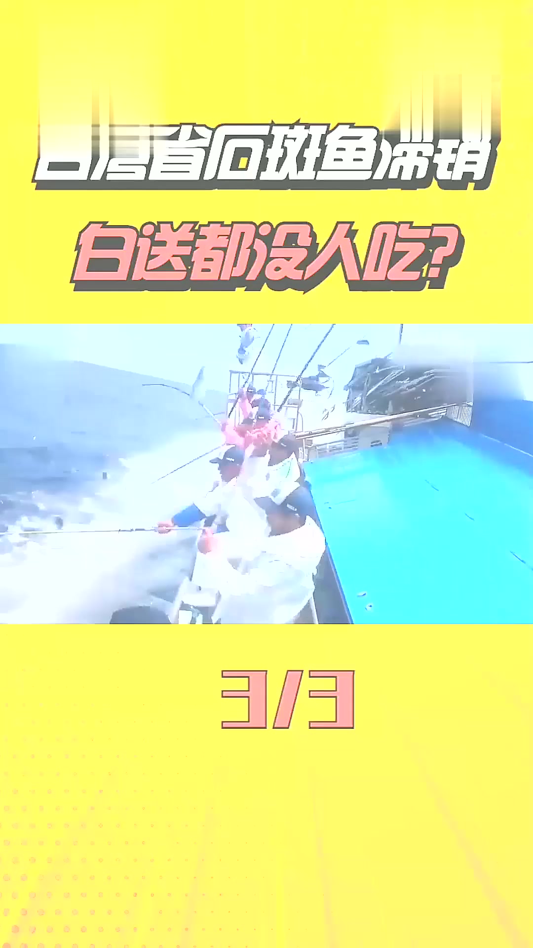致癌、致畸、致突变,能让美味台湾石斑鱼变“毒鱼”的禁药都是从