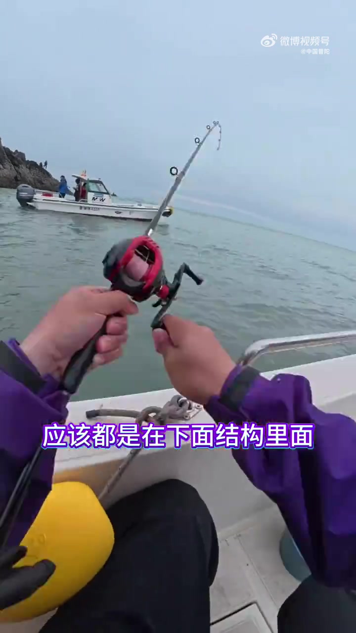 潮声漫过舷边,小船驶向海的腹地,原想邂逅黄鱼跃出水面的惊鸿,却只与虎头鱼的小身影撞个满怀。