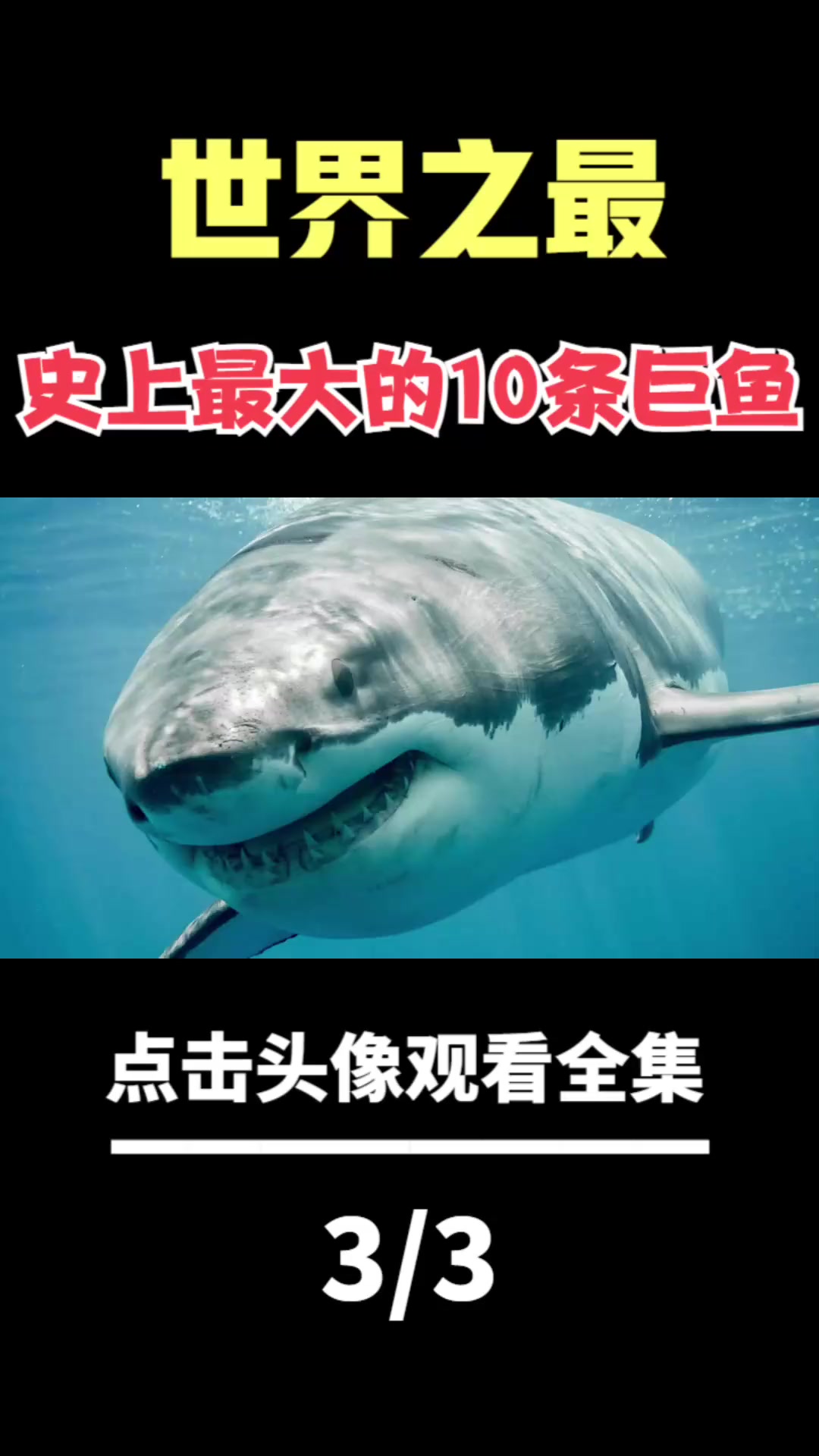 全世界最大的10条鱼!大白鲨只排第3,第一名重达60000公