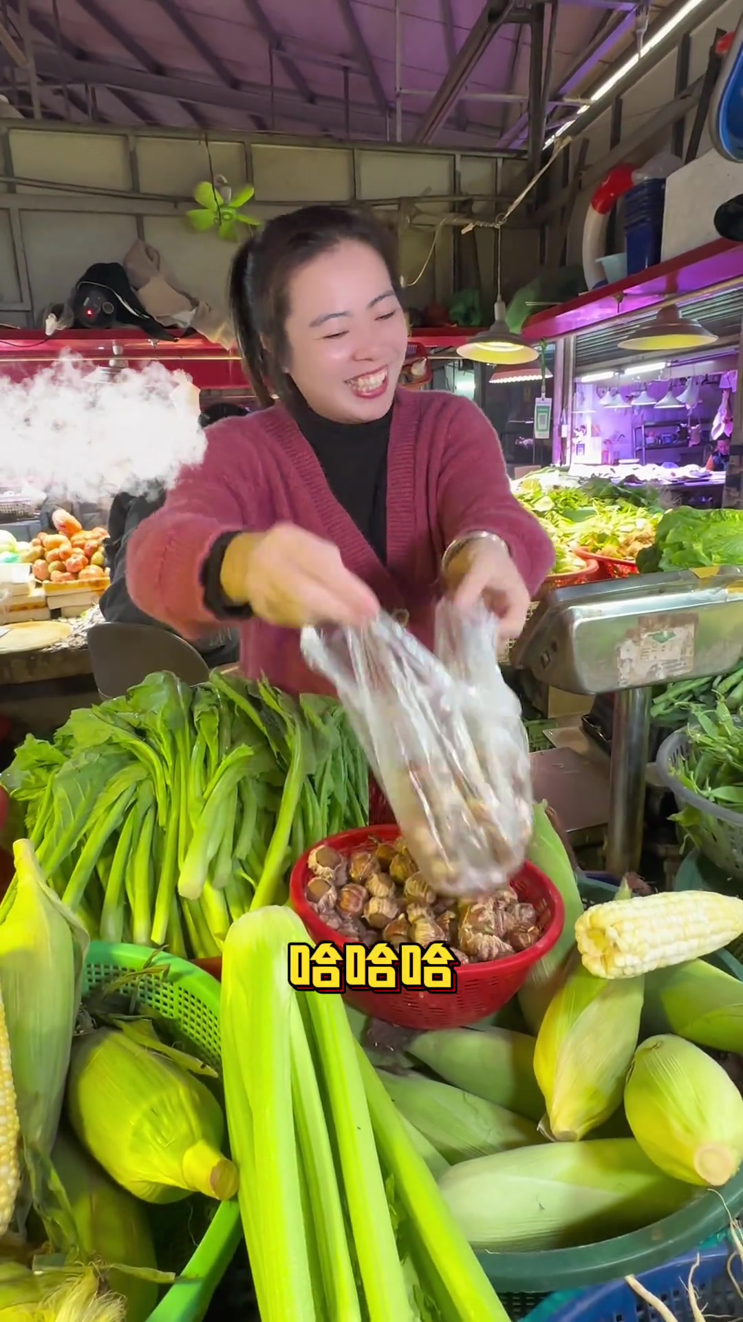 马鞭鱼,养生滋补局