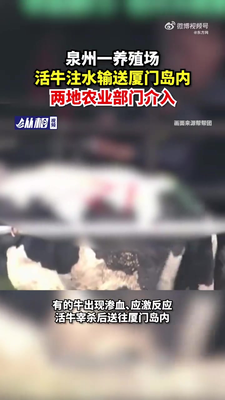 「泉州一养殖场给活牛注水输送厦门岛内,两地农业部门介入」据澎湃新闻报道,福建泉州南安一家肉